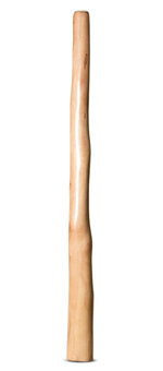 Earl Clements Didgeridoo (EC515)